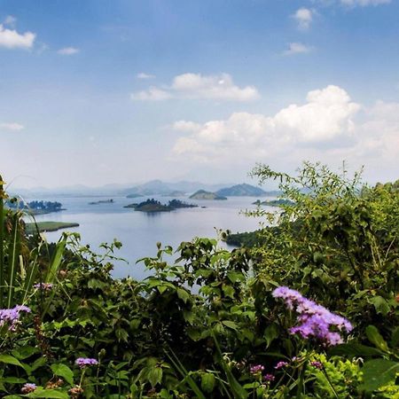 Chameleon Hill Forest Lodge Bwindi Ngoại thất bức ảnh