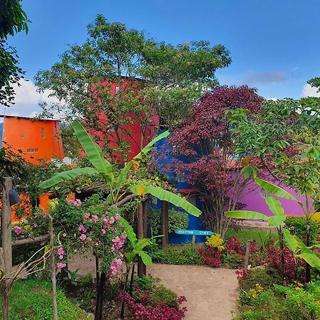 Chameleon Hill Forest Lodge Bwindi Ngoại thất bức ảnh