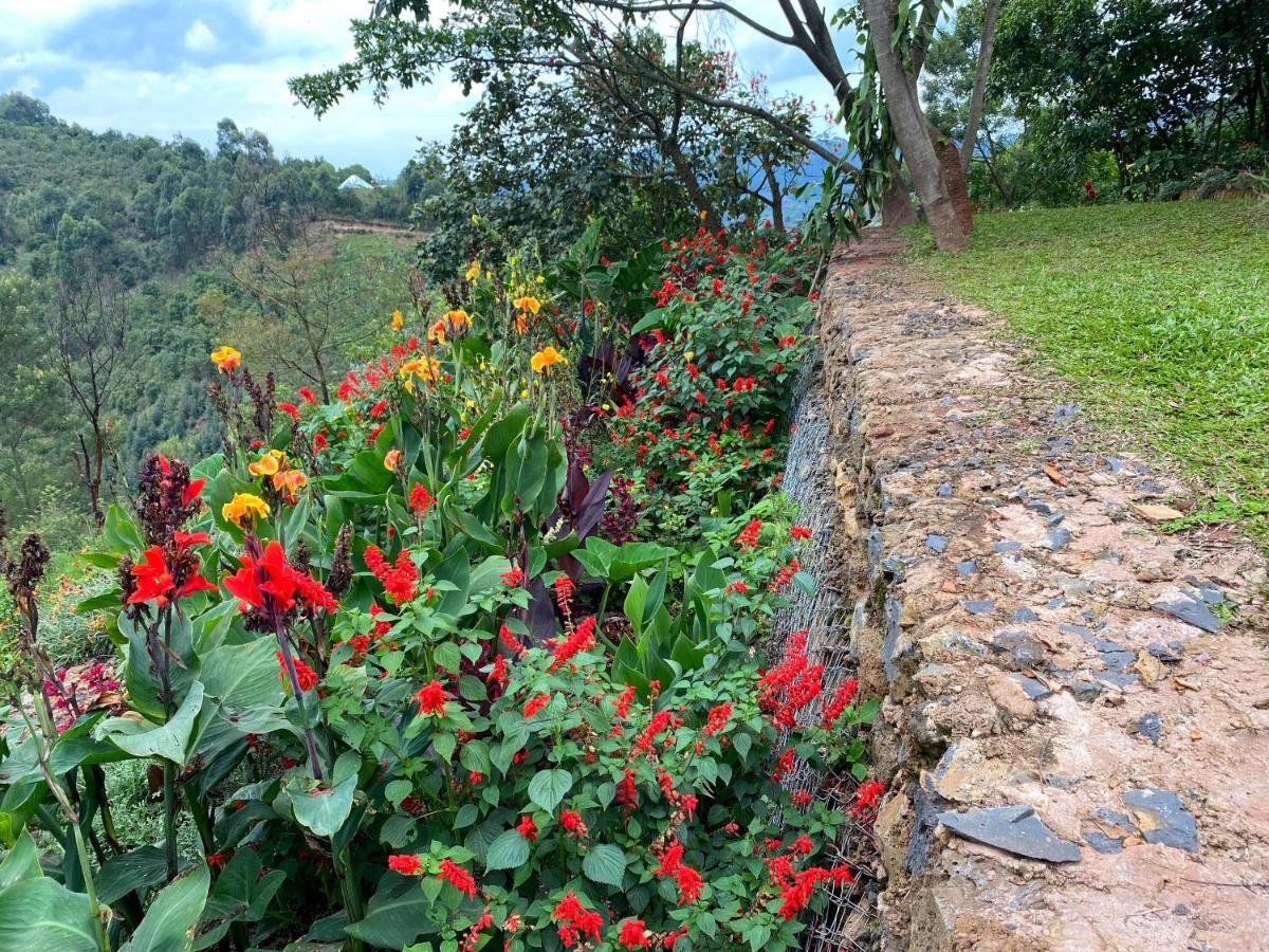Chameleon Hill Forest Lodge Bwindi Ngoại thất bức ảnh