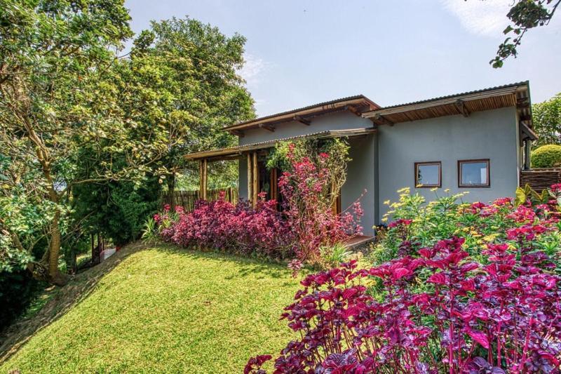 Chameleon Hill Forest Lodge Bwindi Ngoại thất bức ảnh