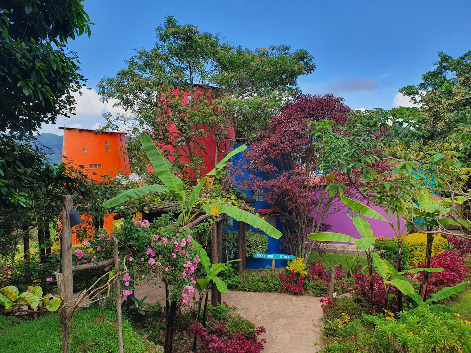 Chameleon Hill Forest Lodge Bwindi Ngoại thất bức ảnh